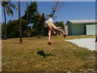 Capoeira-Tom